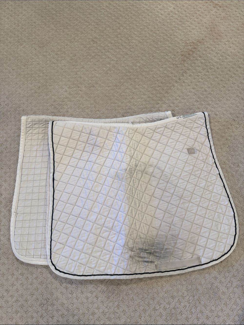 2 Roma Dressage pads